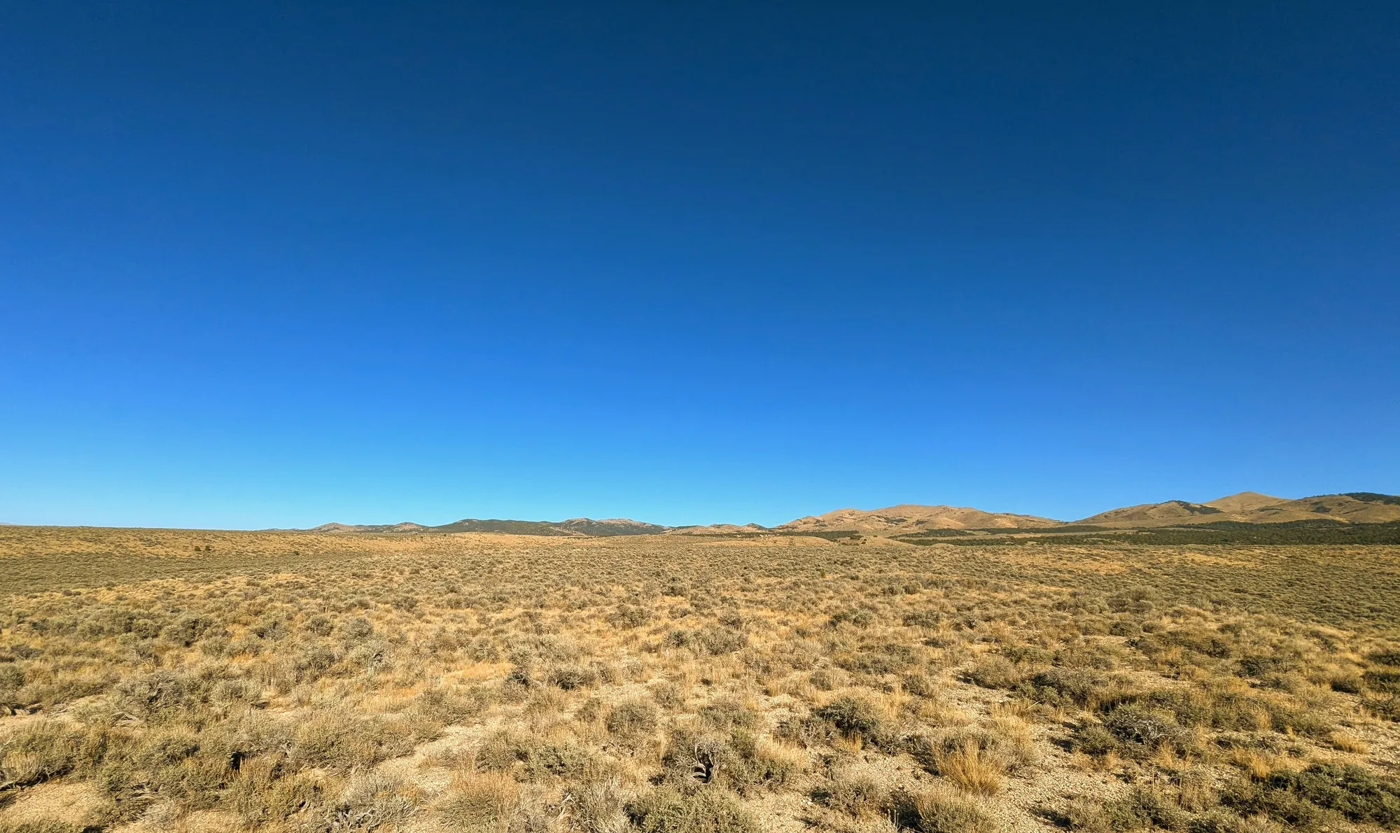 40 Acres in Elko County, NV