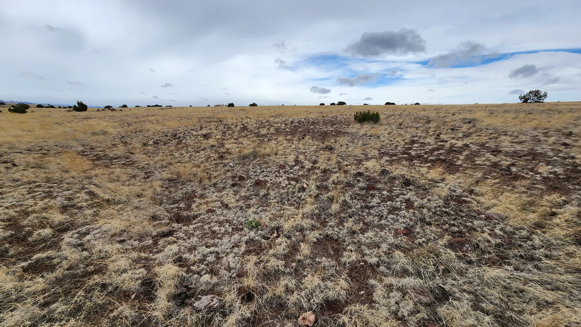 1.04 Acres in Apache County, AZ