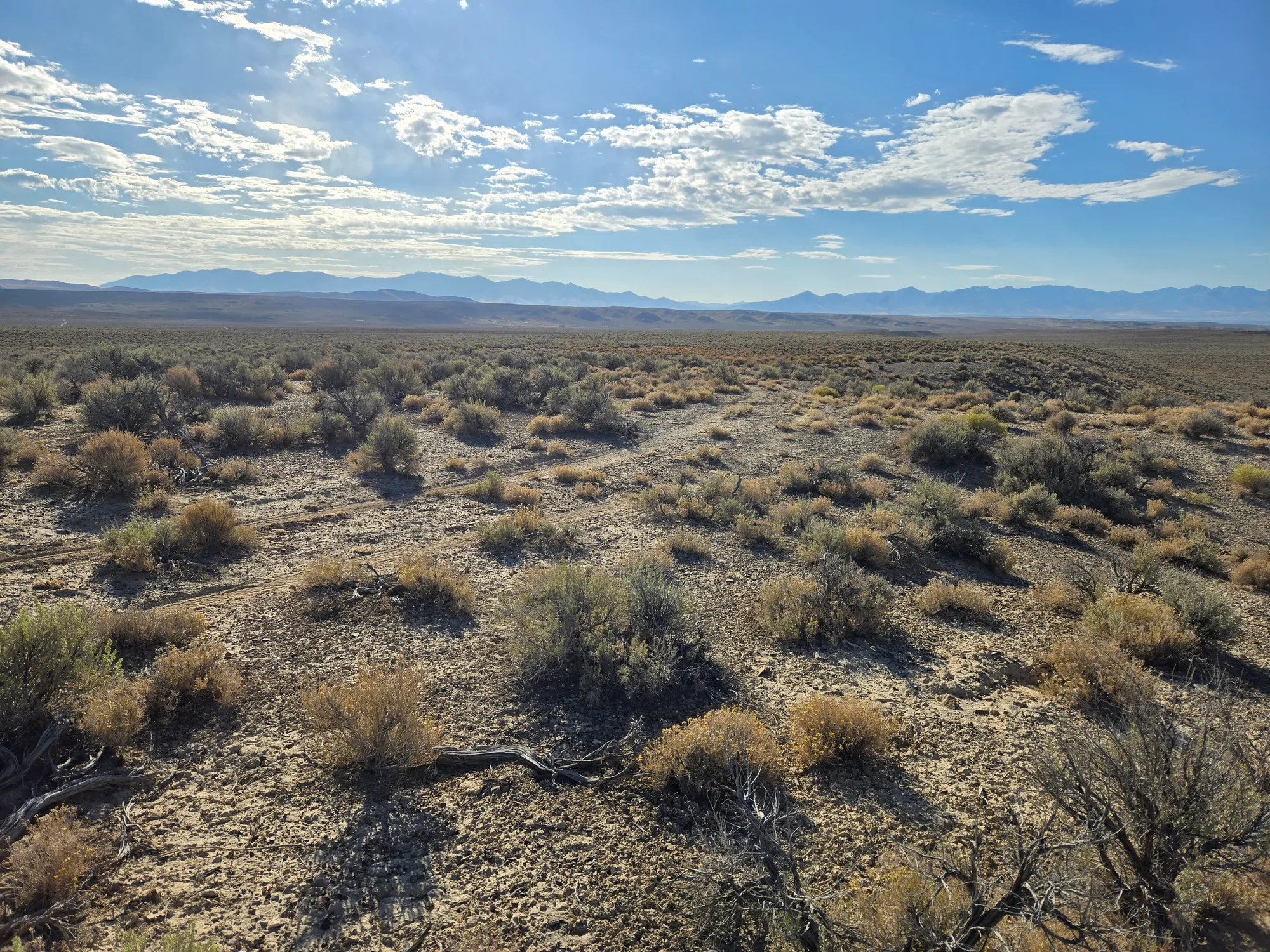 20 Acres in Elko County, NV