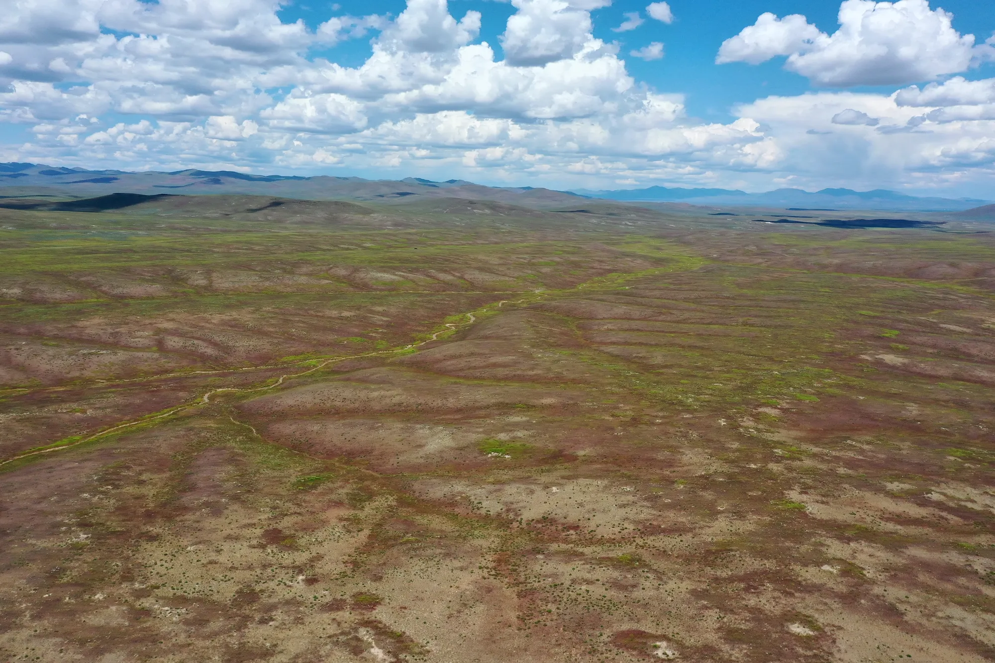 40 Acres in Elko County, NV