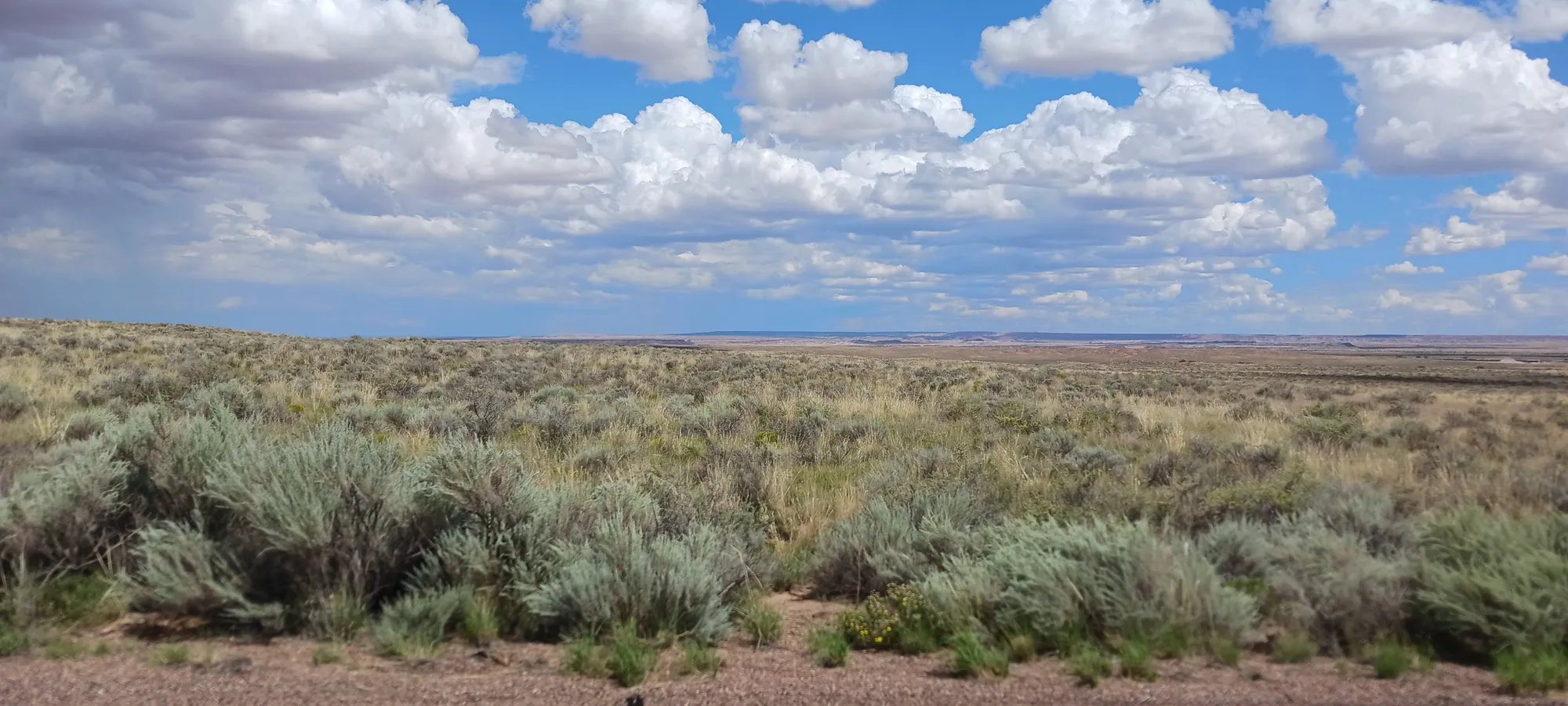 1.25 Acres in Apache County, AZ