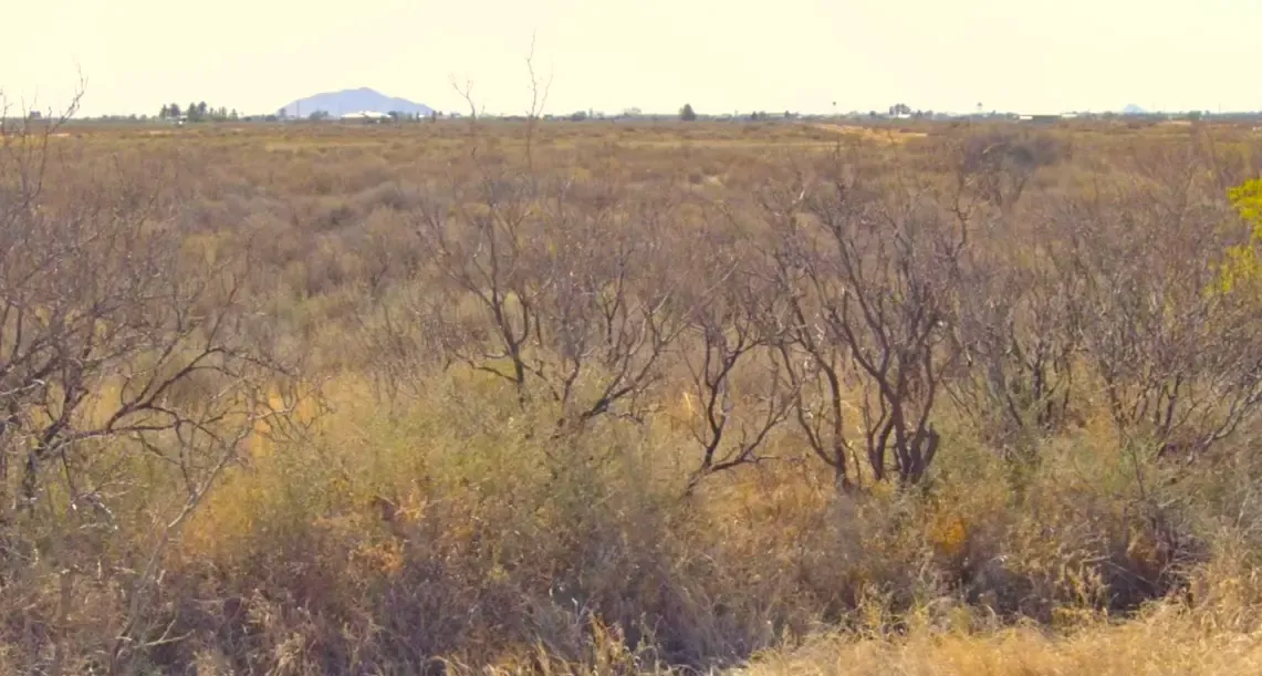 Half-Acre Residential Lot in Deming Ranchettes, NM