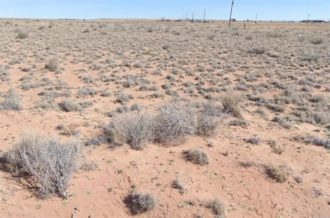 Quarter-Acre Desert Escape Near Petrified Forest Country, AZ