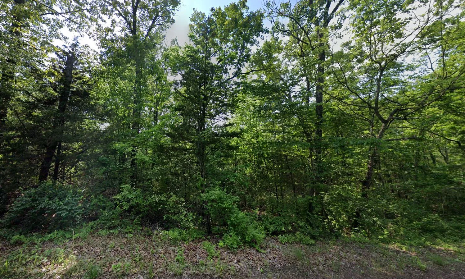 0.22 Acres in Izard County