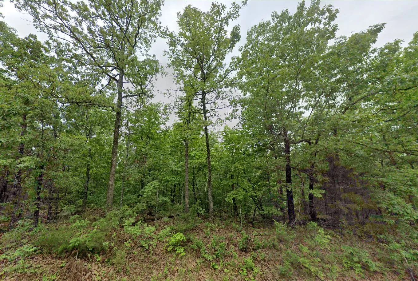 0.30 Acres in Izard County