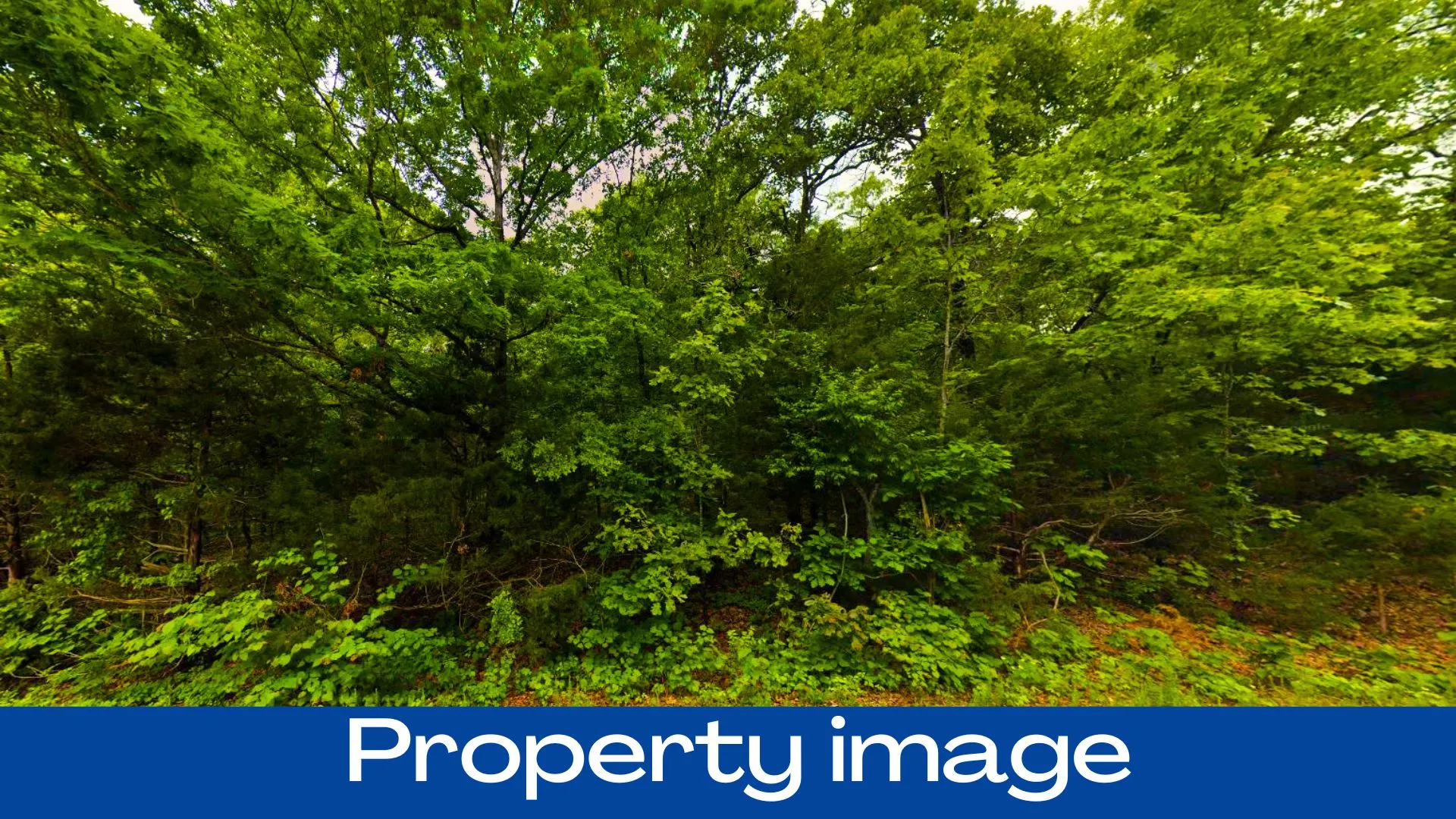 0.37 Acres in Izard County