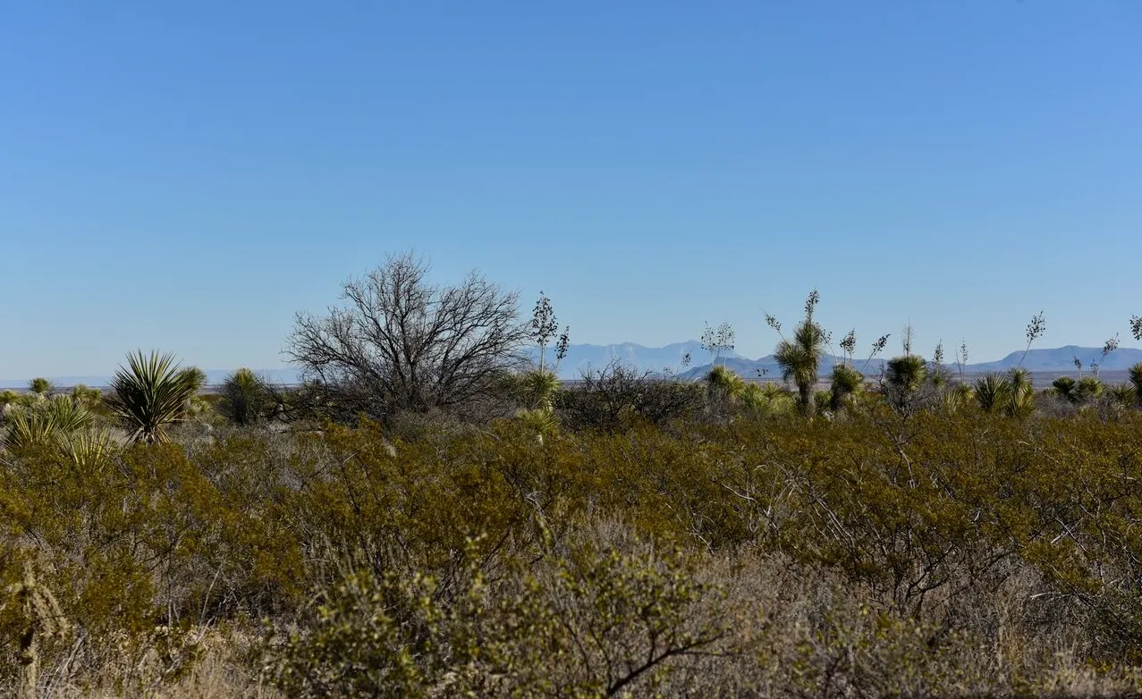 20 acres of unrestricted land and mountain views
