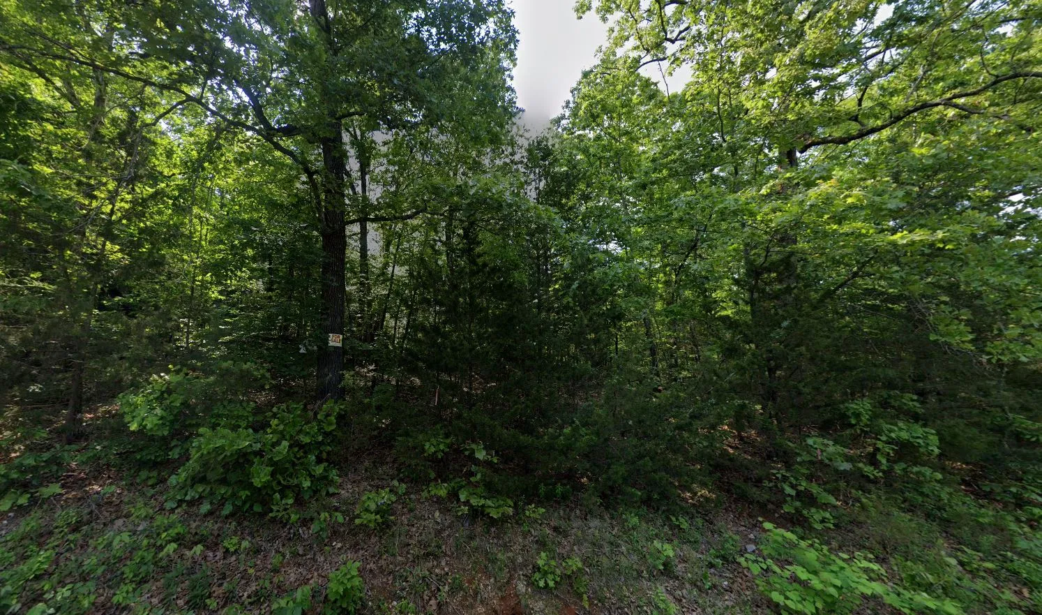 0.21 Acres in Izard County
