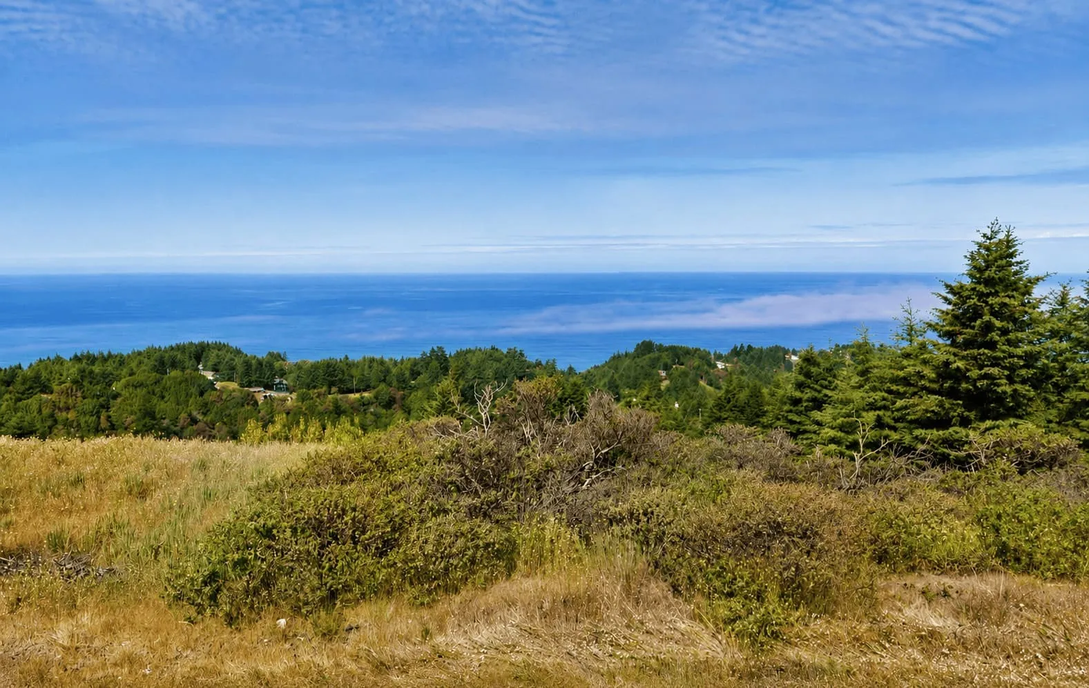0.36 Acres with Ocean Views in Whitethorn, CA – Northern California Escape