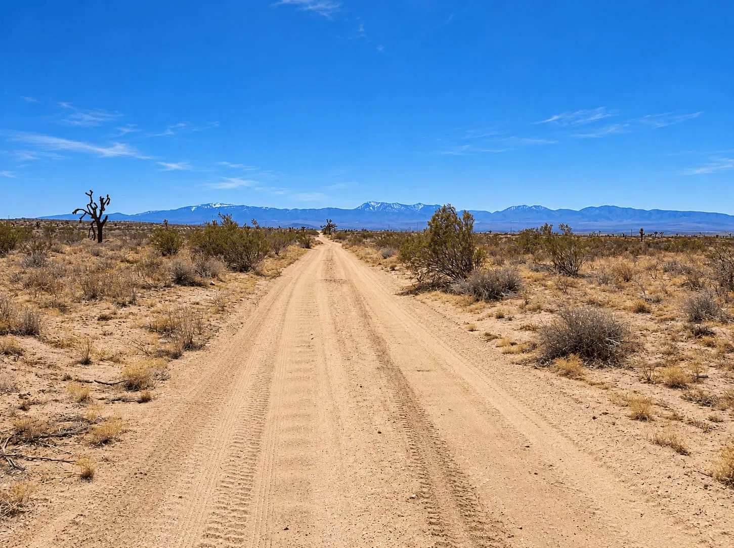 10.64 Acres in Hi Vista, CA – Corner Lot for Ranch or Off-Grid Living