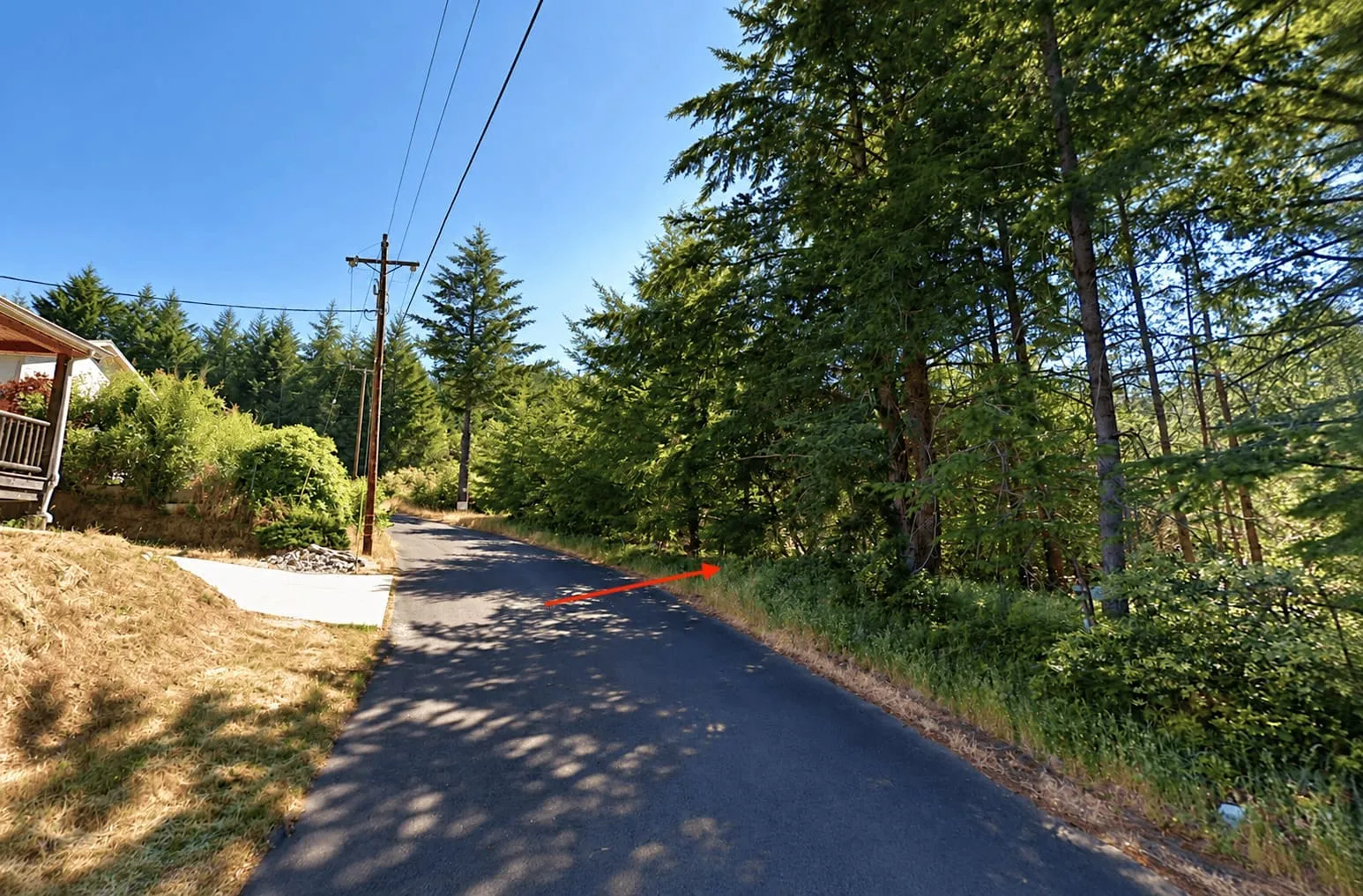 0.30 Acre in Whitethorn, CA – Peaceful Coastal Retreat Near Shelter Cove
