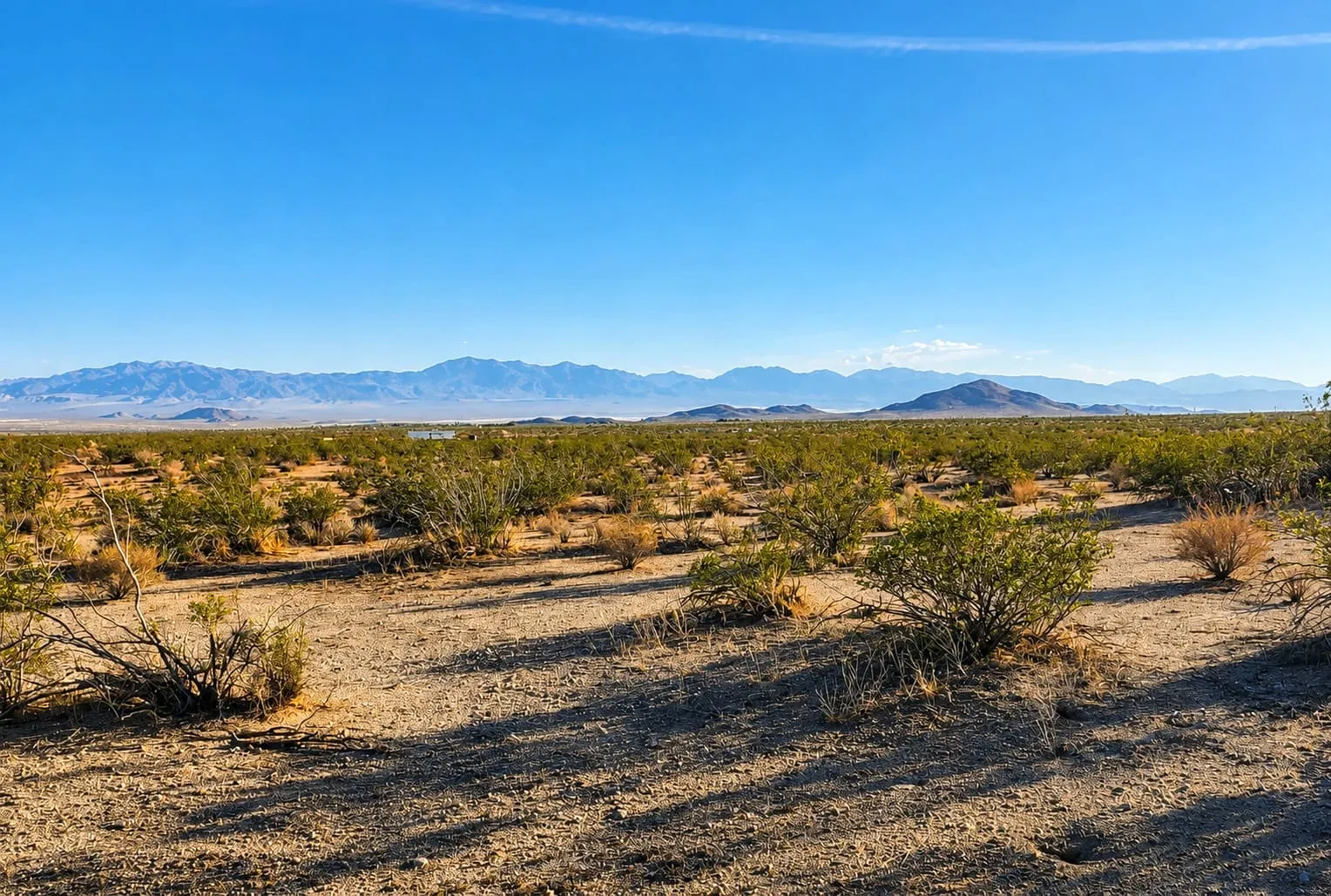 10 Acres in Hi Vista, CA – Wide Open Space for Your Big Plans