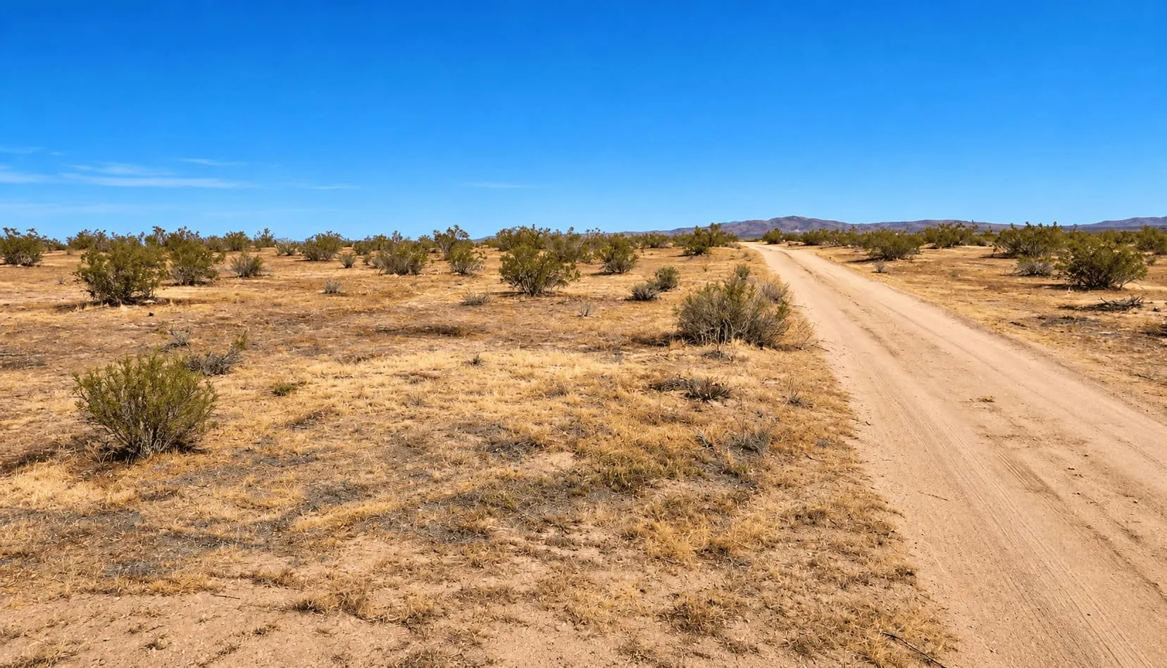 41.52 Acres in Hi Vista, CA – Agricultural Ranch Land Near Lake Los Angeles