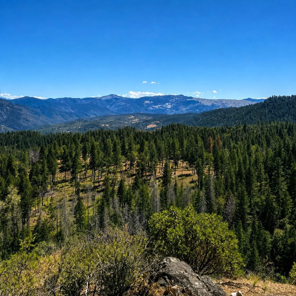 51 Acres of Private Ranch Land in Covelo, CA – Creek, Meadows & Mountain Views