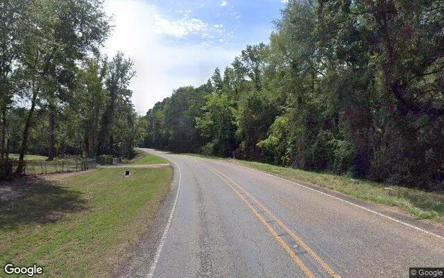 Decorative background for 35.06 Acres in Beckville - Panola County, TX image 5