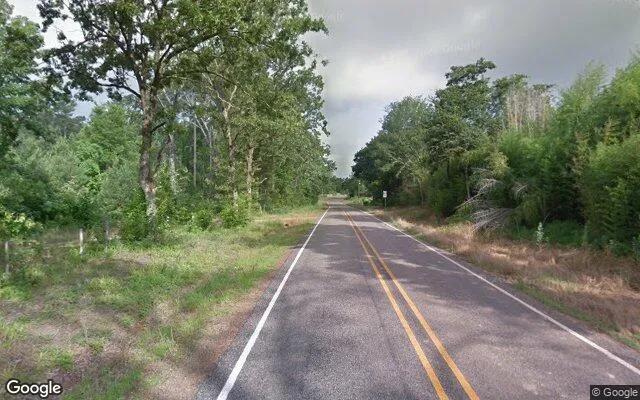 Decorative background for 34.91 Acres in Jefferson - Marion County, TX image 6