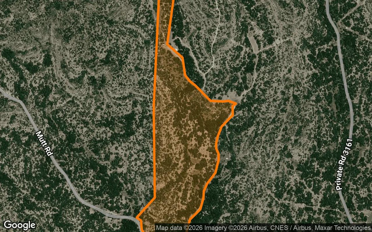 Decorative background for 34.75 Acres in Brackettville - Kinney County, TX image 6