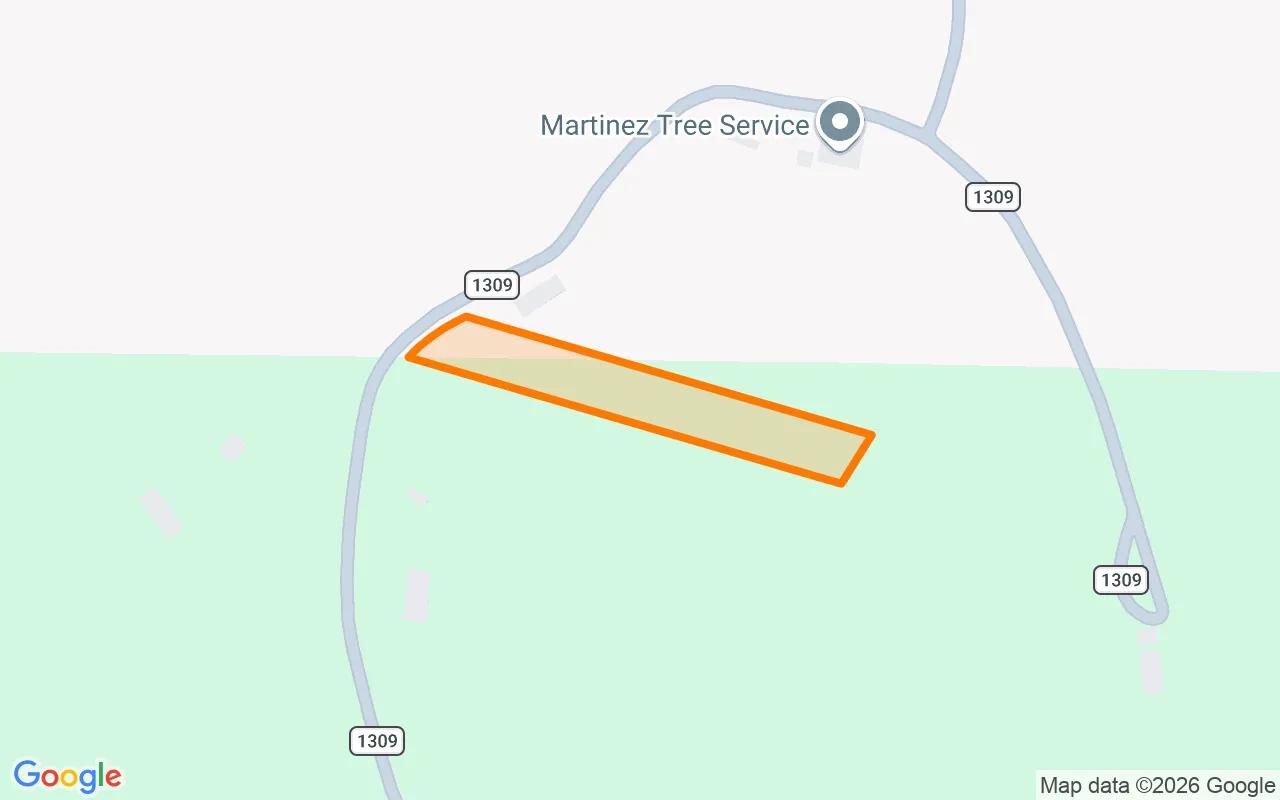 1.5 Acres in Pittsburg - Camp County, TX - Image 2