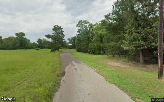Decorative background for 1.5 Acres in Pittsburg - Camp County, TX image 5