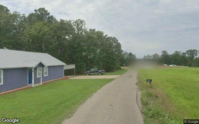 Decorative background for 1.5 Acres in Pittsburg - Camp County, TX image 6