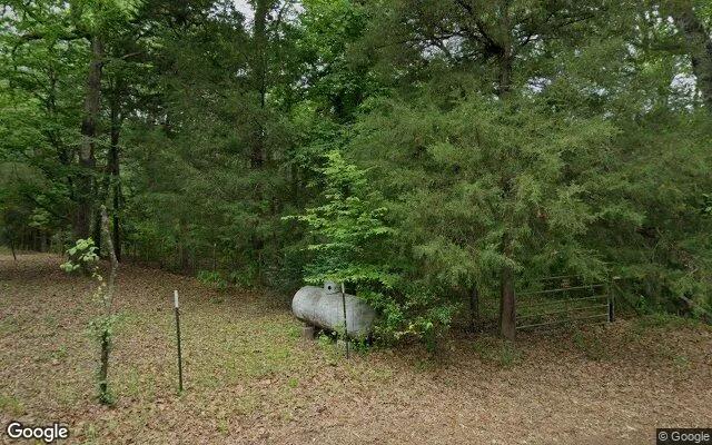 Decorative background for 1.5 Acres in Jasper - Jasper County, TX image 6