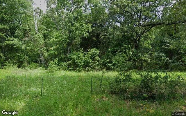 14.75 Acres in Ben Wheeler - Van Zandt County, TX - Image 4
