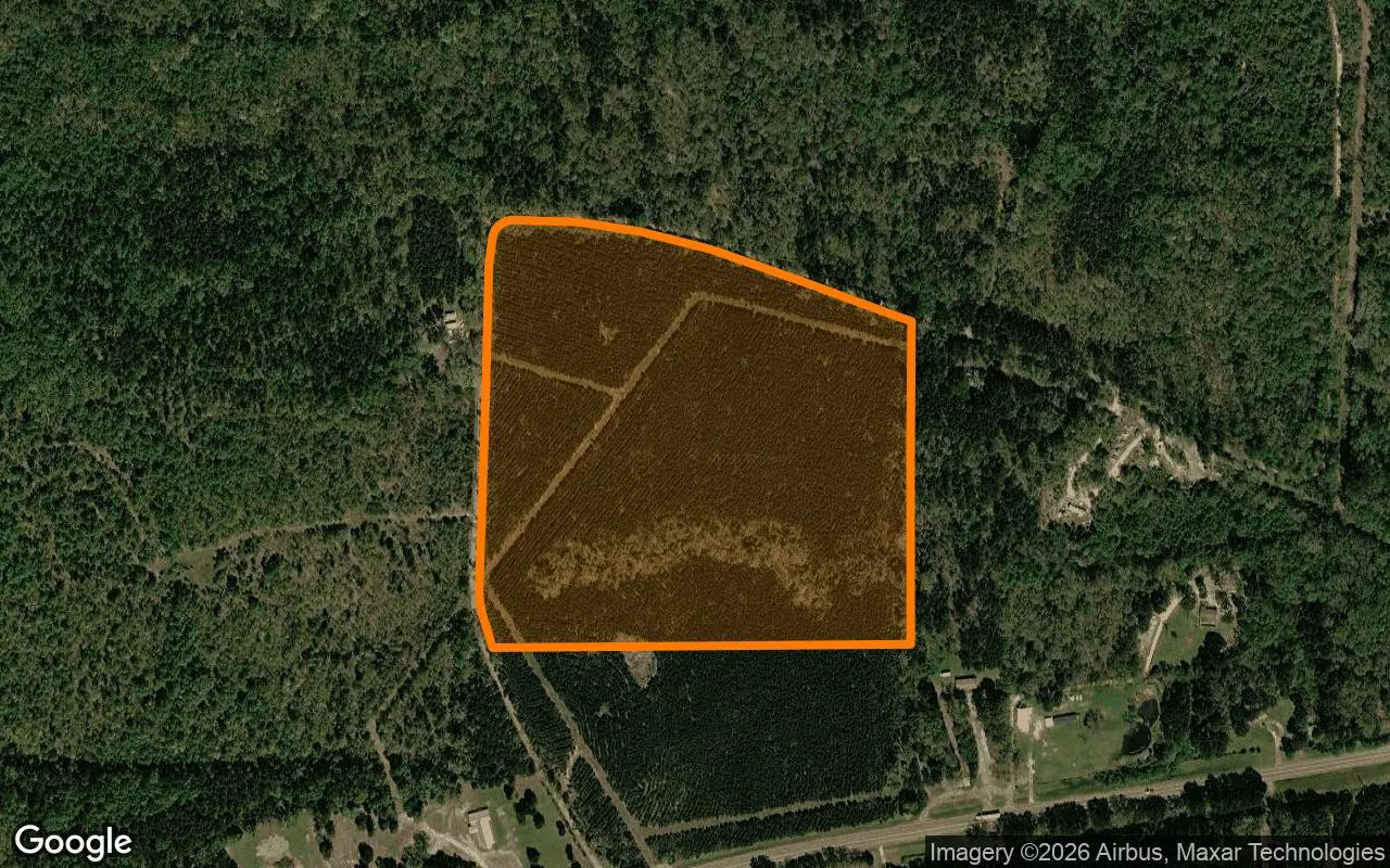 35 Acres in Cass - Cass County, TX - Main image
