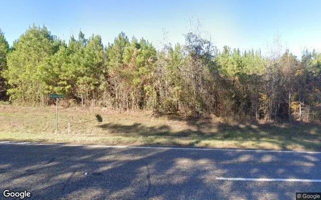 35 Acres in Cass - Cass County, TX - Image 4