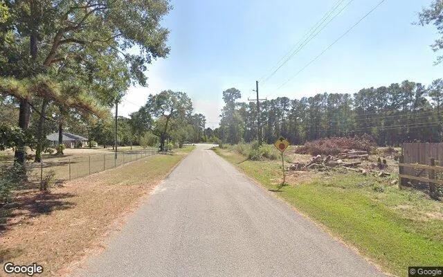 Decorative background for 0.55 Acres in Plantersville - Waller County, TX image 5