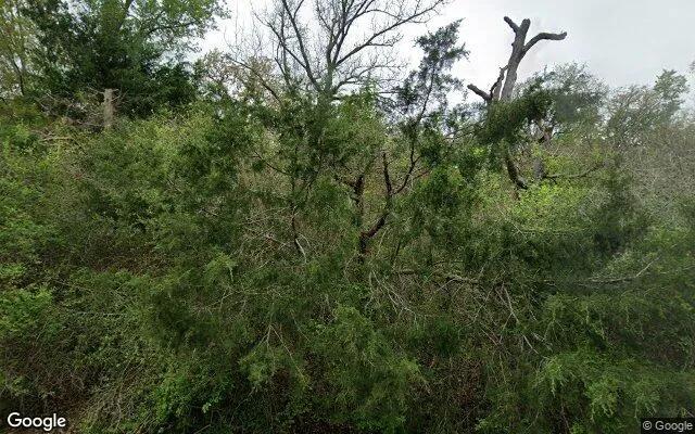 0.55 Acres in Somerville - Burleson County, TX - Image 4