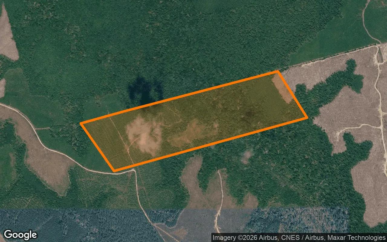 123.24 Acres in Newton - Newton County, TX - Main image