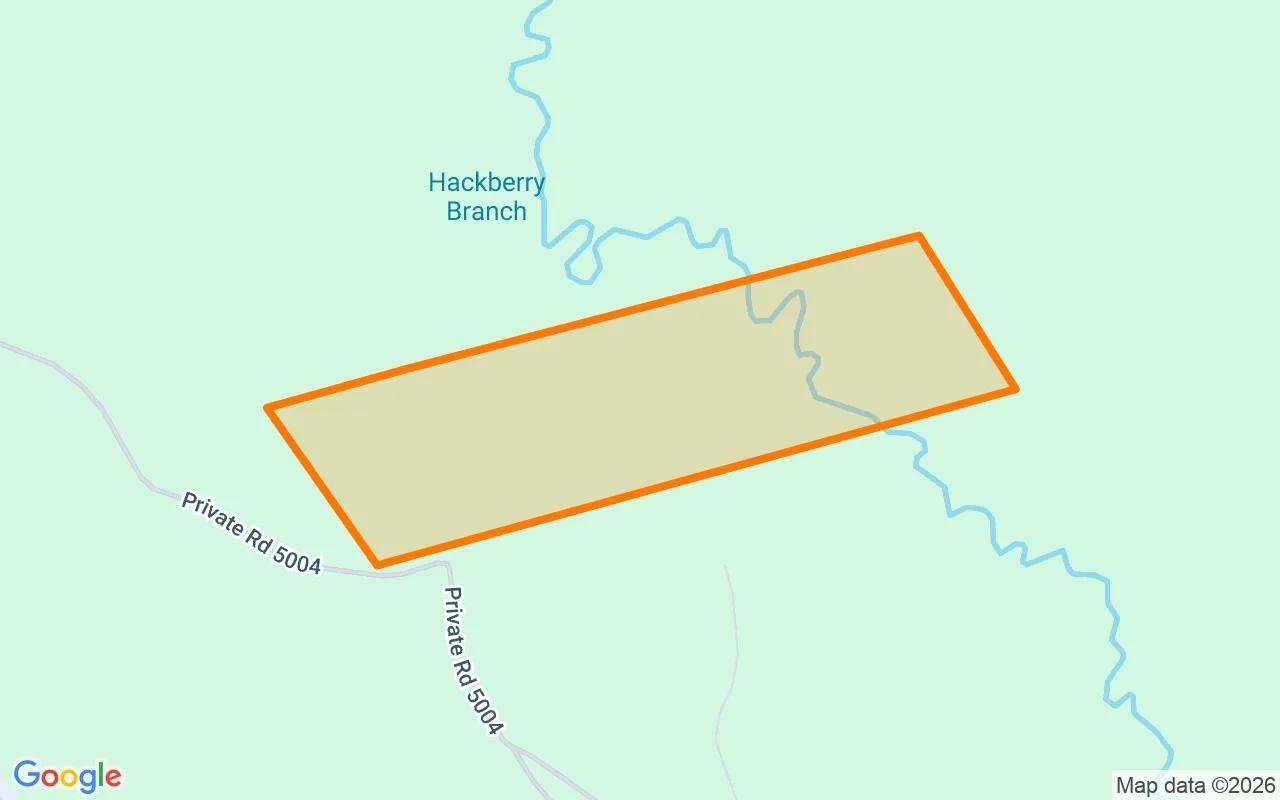 123.24 Acres in Newton - Newton County, TX - Image 2