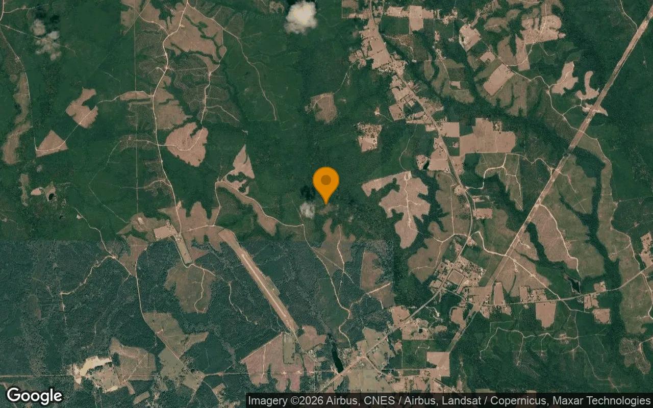 123.24 Acres in Newton - Newton County, TX - Image 3
