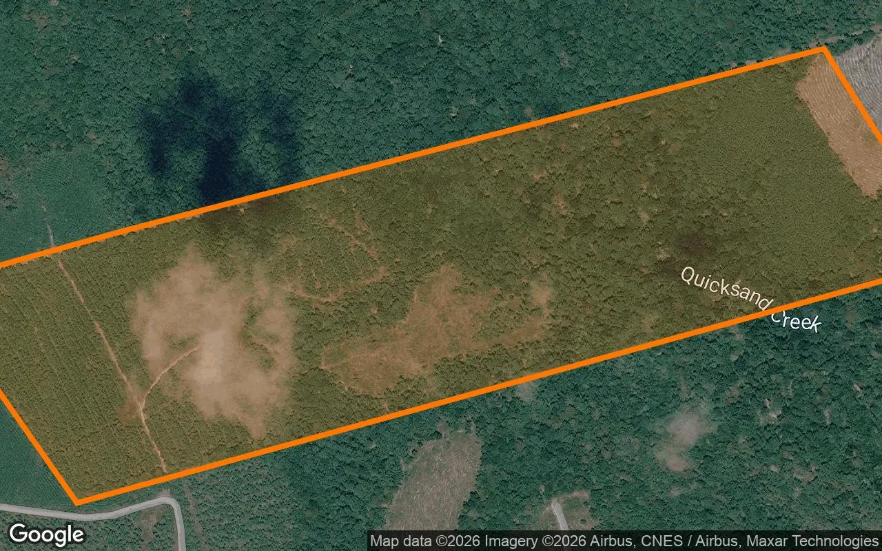Decorative background for 123.24 Acres in Newton - Newton County, TX image 6