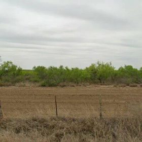 14.95 Acres in Crystal City - Zavala County, TX in Zavala County, TX