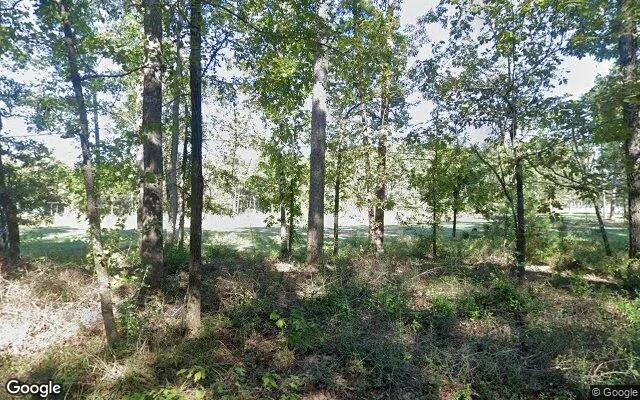 3.5 Acres in Angelina - Angelina County, TX - Image 4