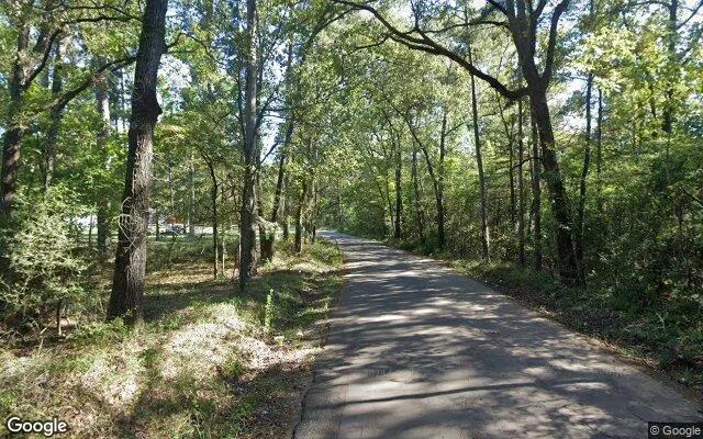 Decorative background for 3.5 Acres in Angelina - Angelina County, TX image 6