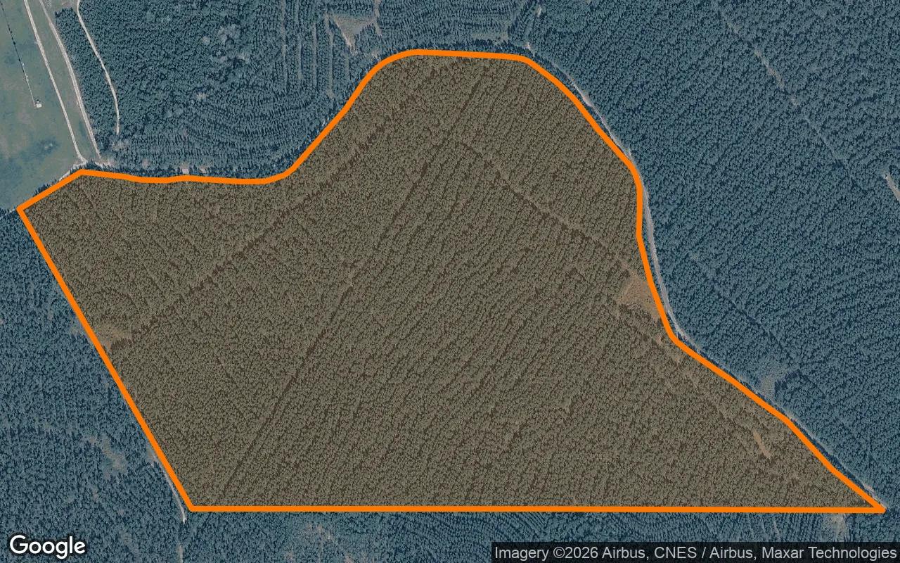 123.09 Acres in Newton - Newton County, TX - Main image