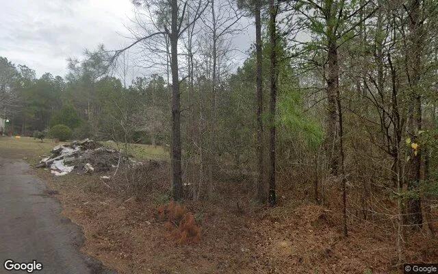 123.09 Acres in Newton - Newton County, TX - Image 4