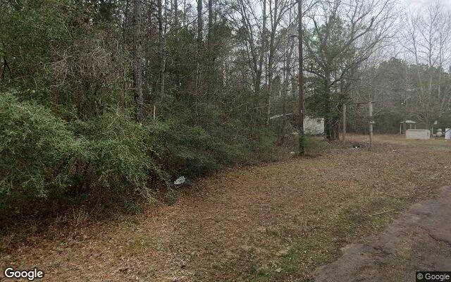 Decorative background for 123.09 Acres in Newton - Newton County, TX image 5