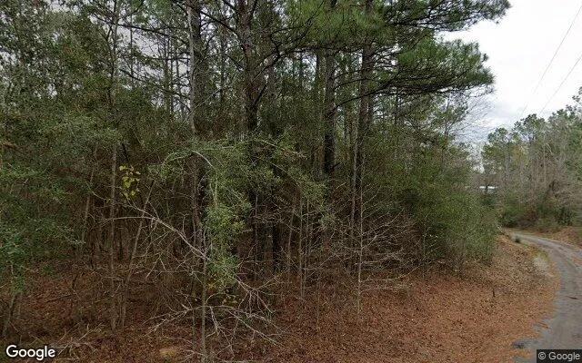 Decorative background for 123.09 Acres in Newton - Newton County, TX image 6