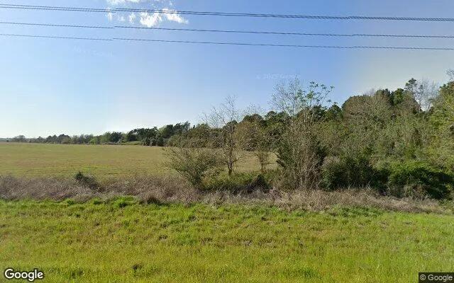 34.94 Acres in Cat Spring - Colorado County, TX - Image 4