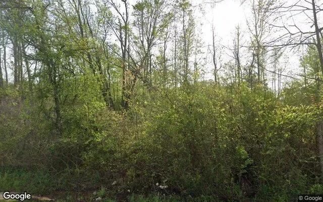 0.55 Acres in Cherokee - Cherokee County, TX - Image 4