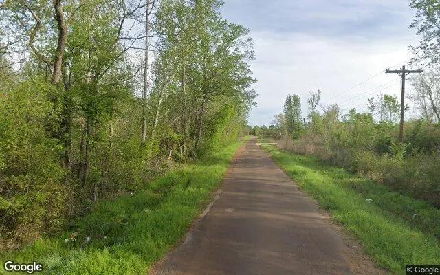 Decorative background for 0.55 Acres in Cherokee - Cherokee County, TX image 5