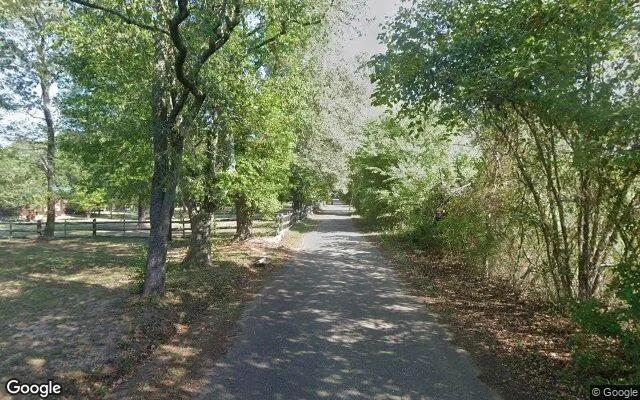 Decorative background for 1.5 Acres in Hallsville - Harrison County, TX image 6