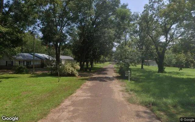 Decorative background for 0.55 Acres in Hemphill - Sabine County, TX image 5