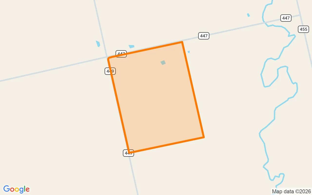 124.77 Acres in Jones - Jones County, TX - Image 2