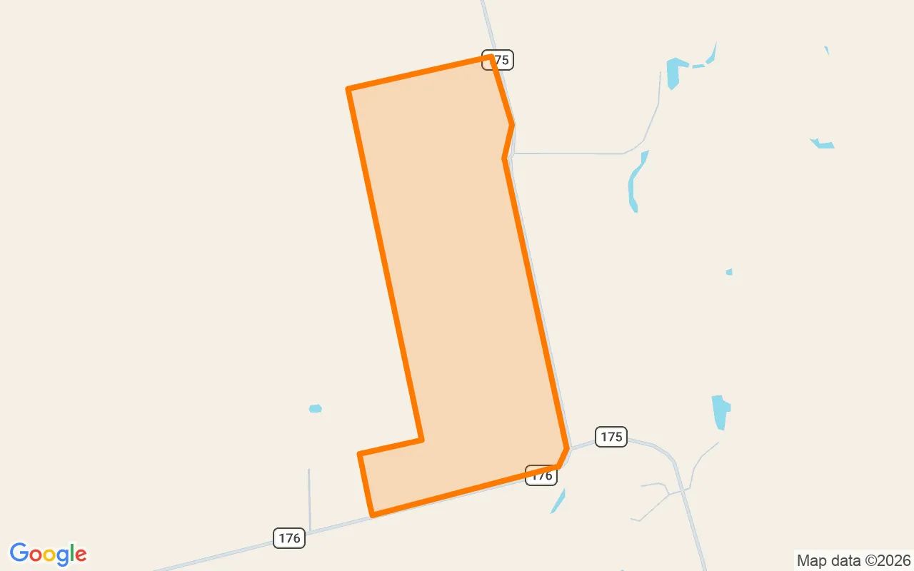 124.86 Acres in Runnels - Runnels County, TX in Runnels County, Texas
