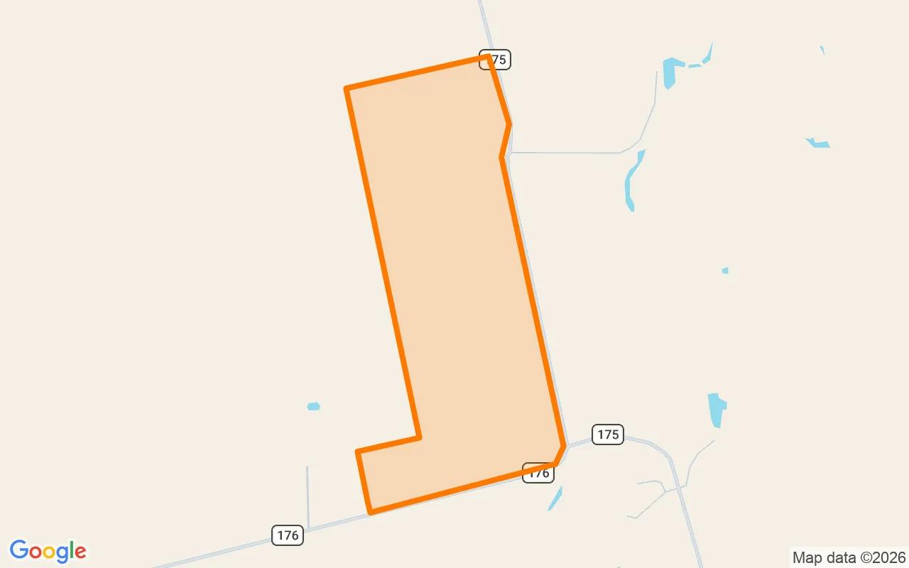 124.86 Acres in Runnels - Runnels County, TX - Image 2