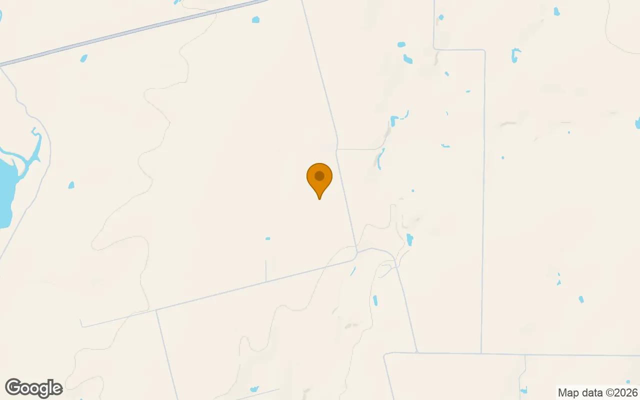 Decorative background for 124.86 Acres in Runnels - Runnels County, TX image 5